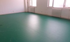 北京市順義區三高ZJ示范區乒乓球地板膠